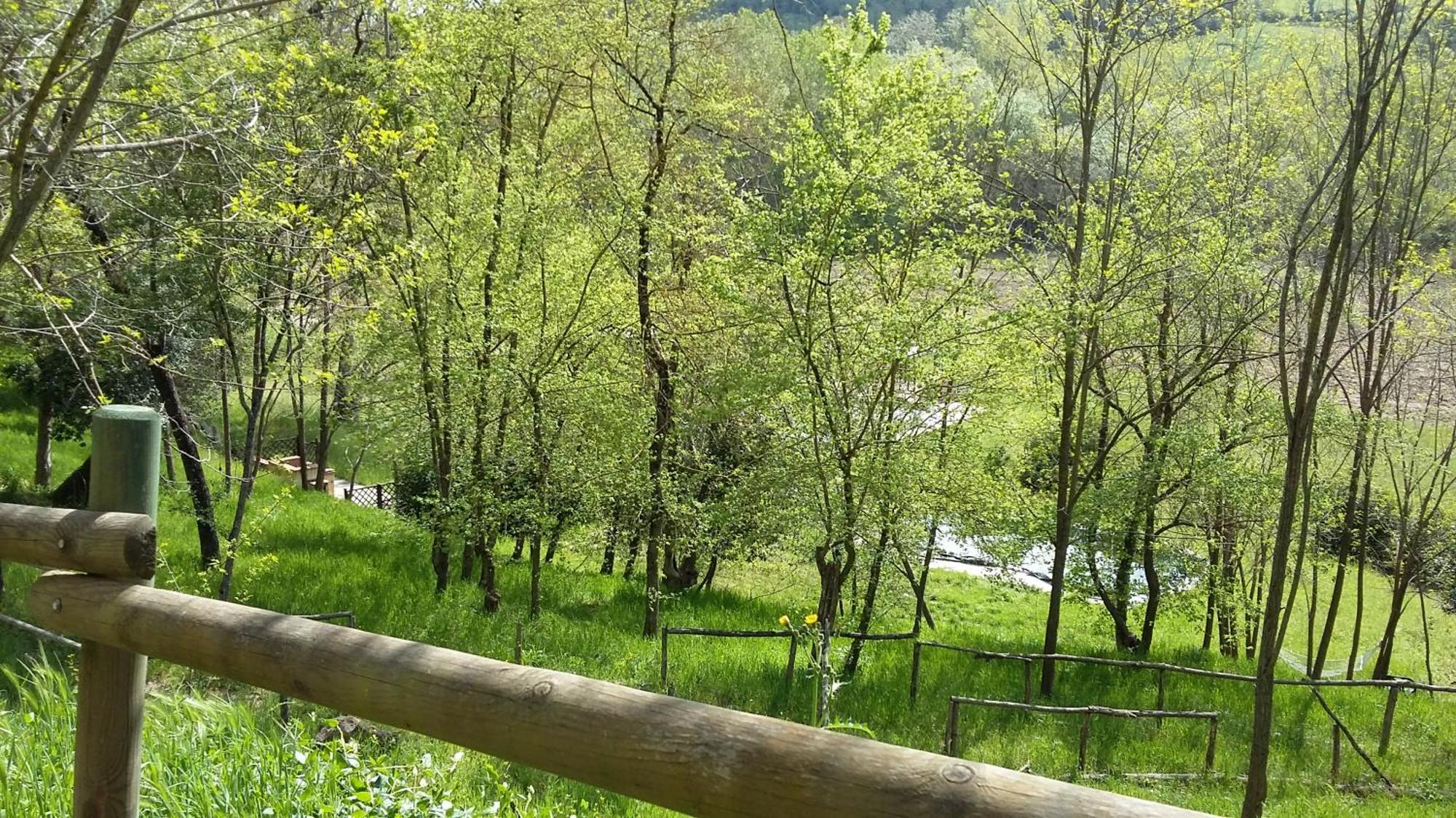 Agriturismo Alle Rose Volterra Dış mekan fotoğraf