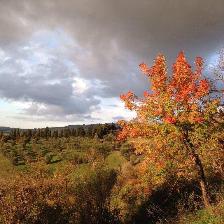 Agriturismo Alle Rose Volterra Dış mekan fotoğraf